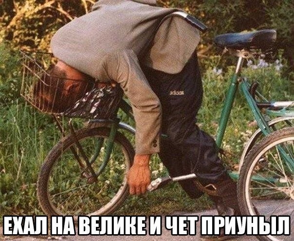 Забавная фотоподборка-29