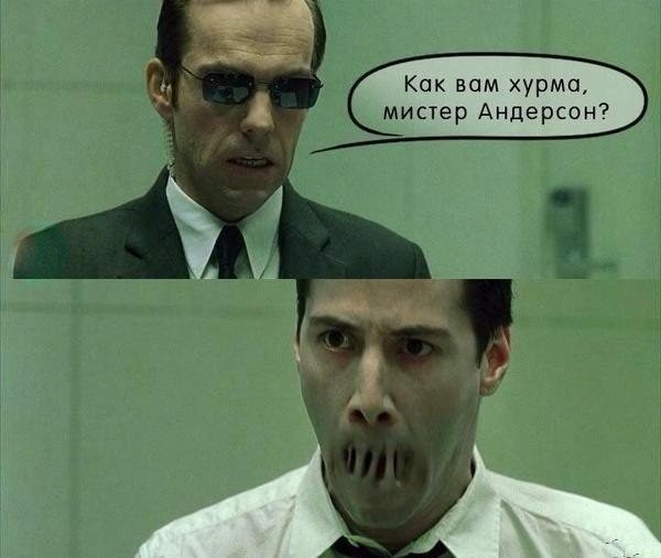 Забавная фотоподборка-4