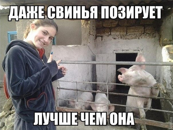 Забавная фотоподборка-51