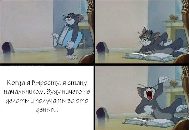 Забавная фотоподборка-61