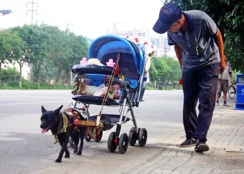 Дети знают толк в развлечениях-17