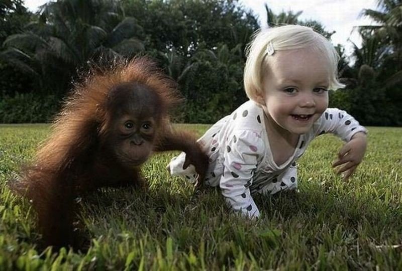 Дети знают толк в развлечениях-18