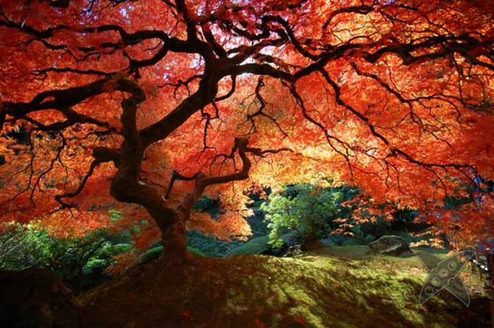 10 мест неземной красоты