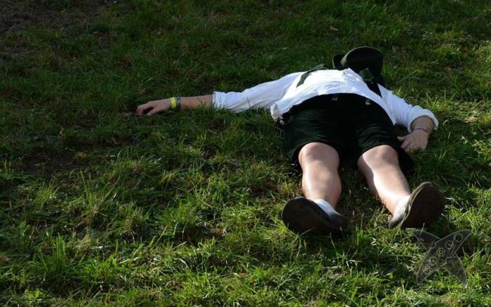 Октоберфест 2013