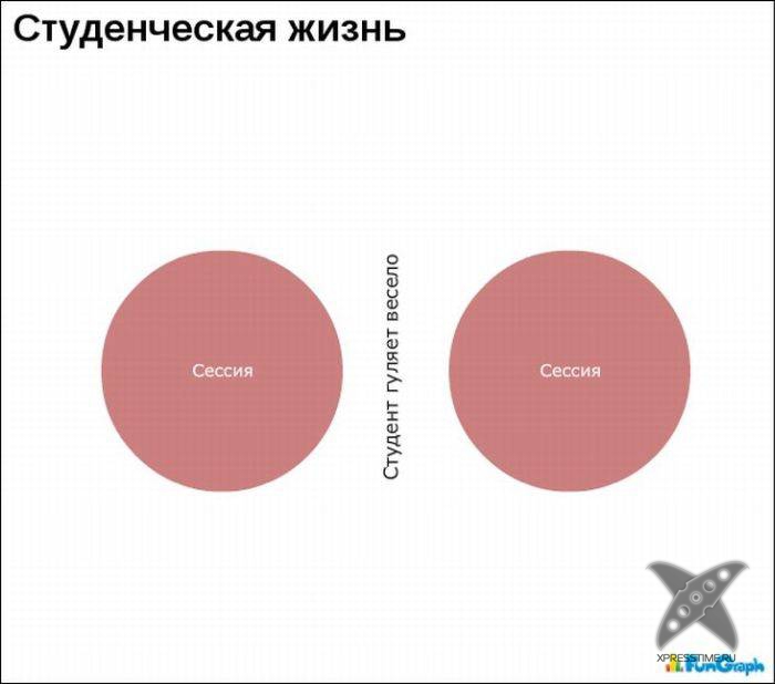 Забавные графики