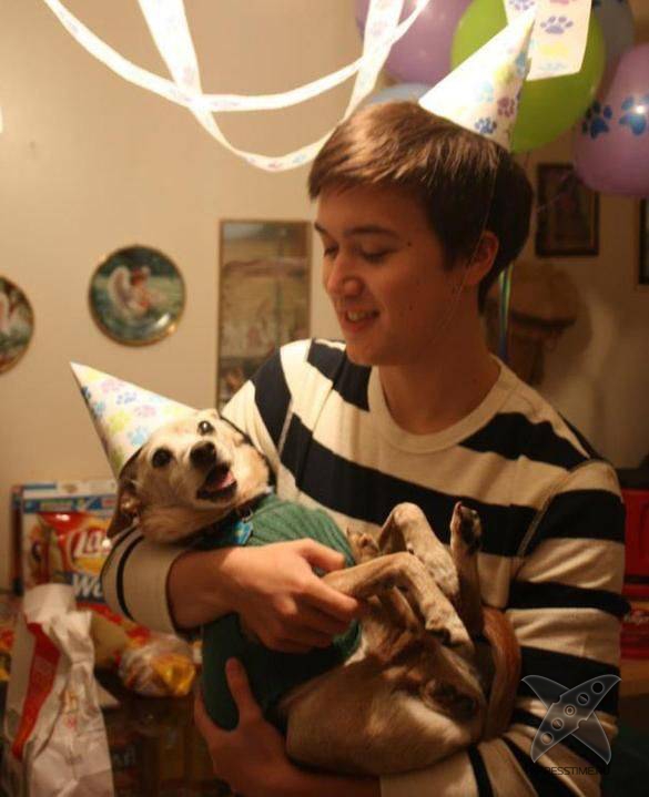 Дни рождения у питомцев