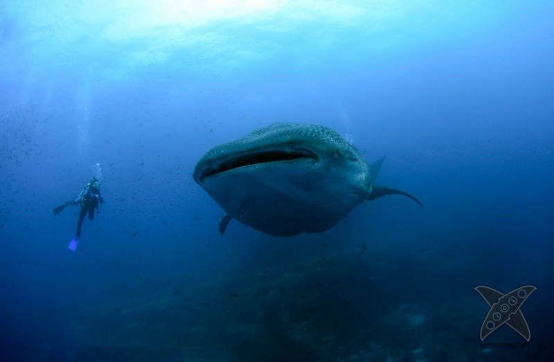 Галапагосские острова