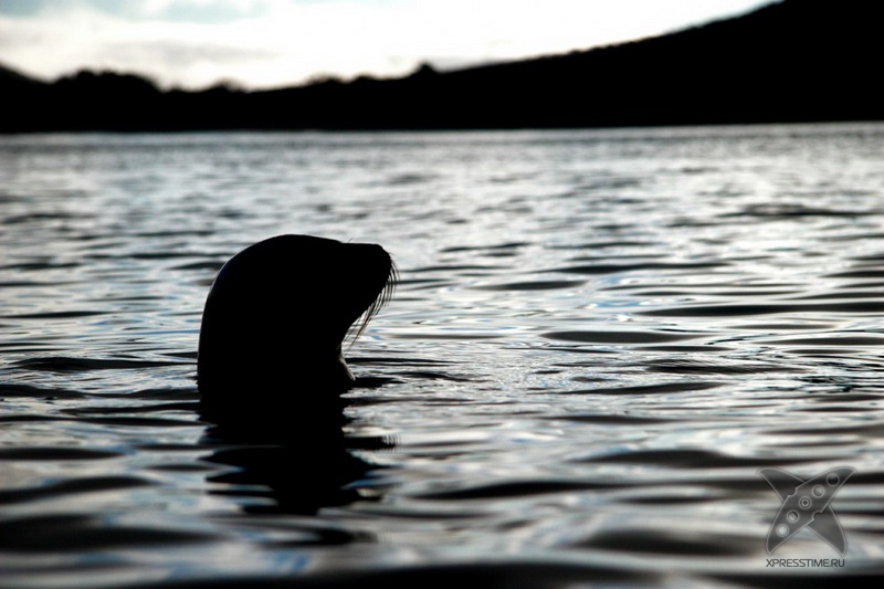 Галапагосские острова