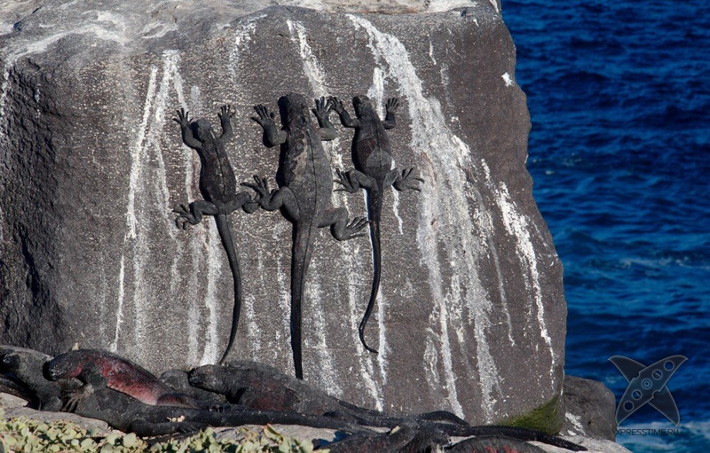 Галапагосские острова