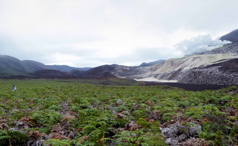 Галапагосские острова