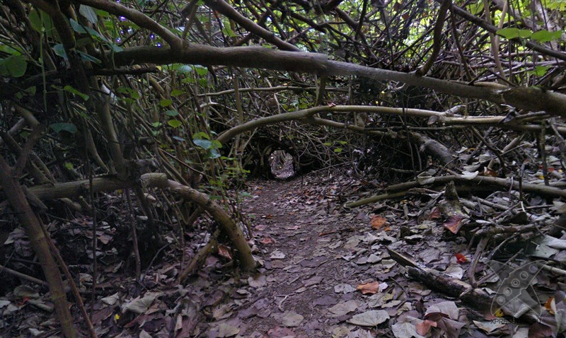 Галапагосские острова