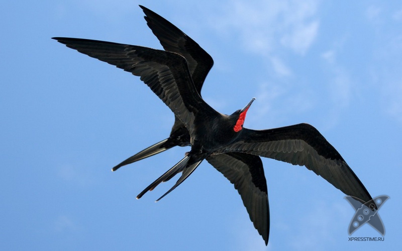 Галапагосские острова