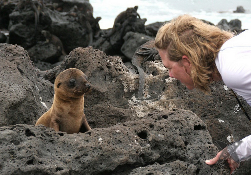 Галапагосские острова