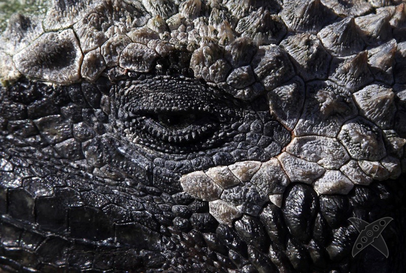 Галапагосские острова