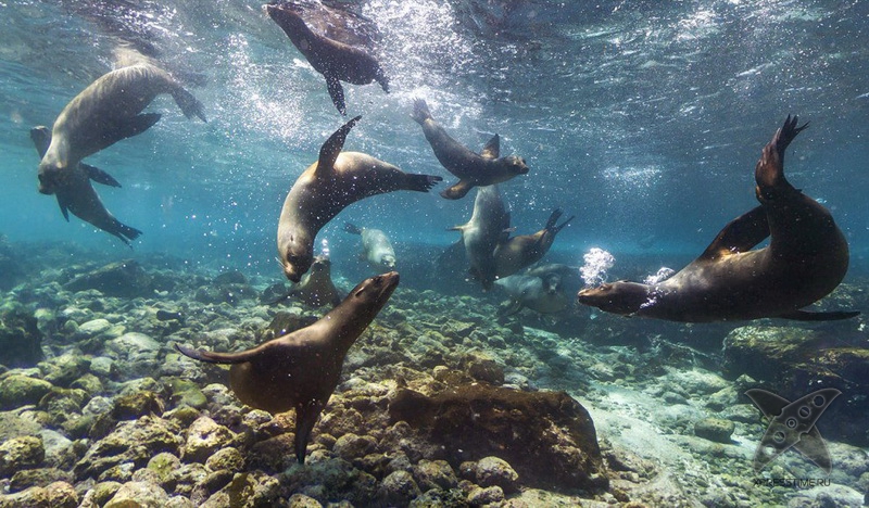Галапагосские острова