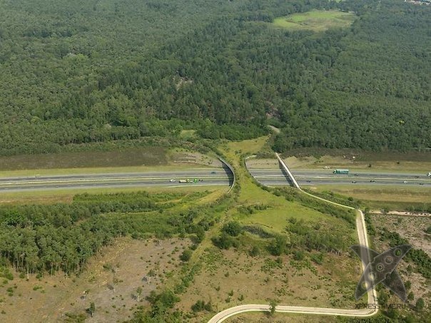 Переходы для животных