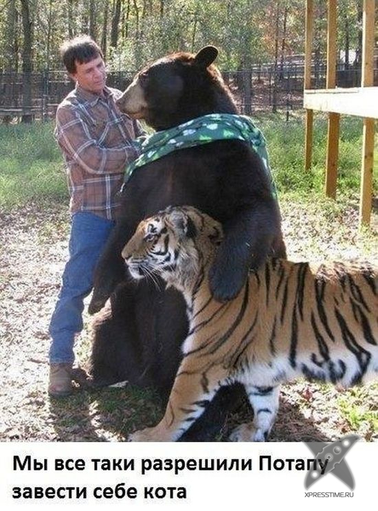 Отборный юмор 7