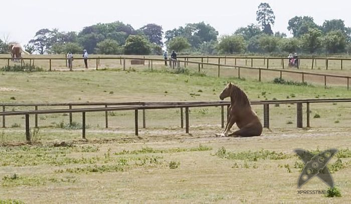 Отборный юмор 7