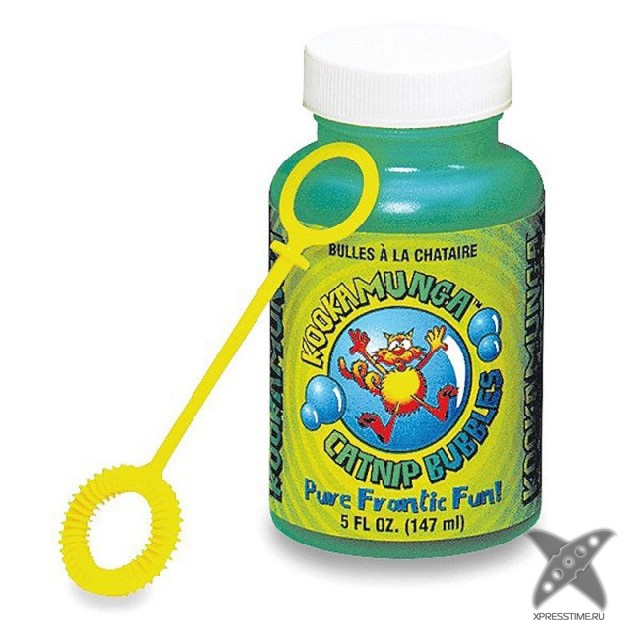 Любители кошек, не проходите мимо!