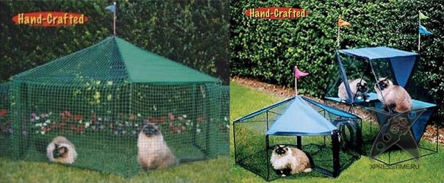 Любители кошек, не проходите мимо!