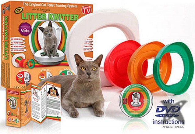 Любители кошек, не проходите мимо!