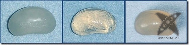 Любители кошек, не проходите мимо!