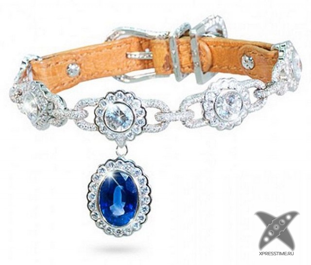 Любители кошек, не проходите мимо!