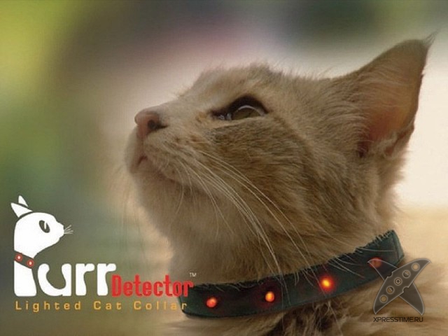 Любители кошек, не проходите мимо!