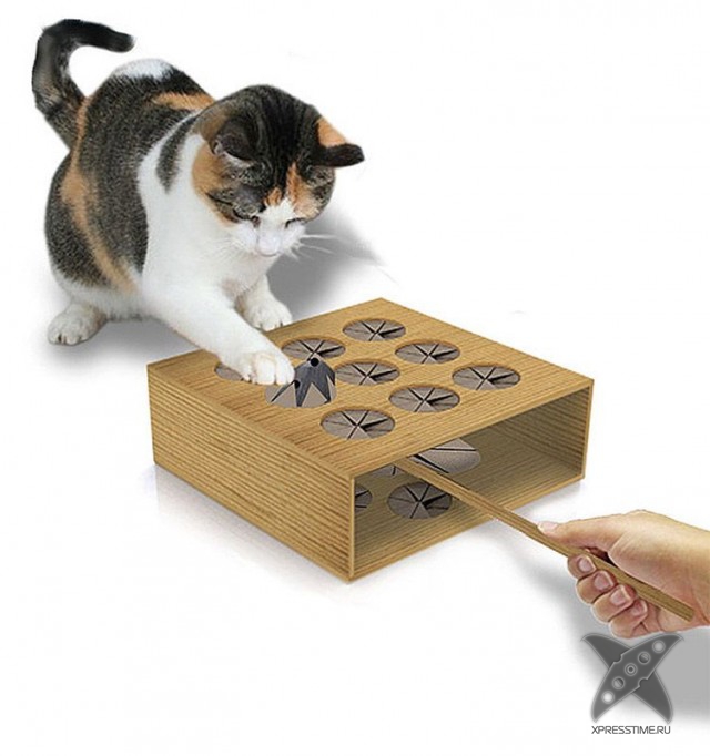 Любители кошек, не проходите мимо!