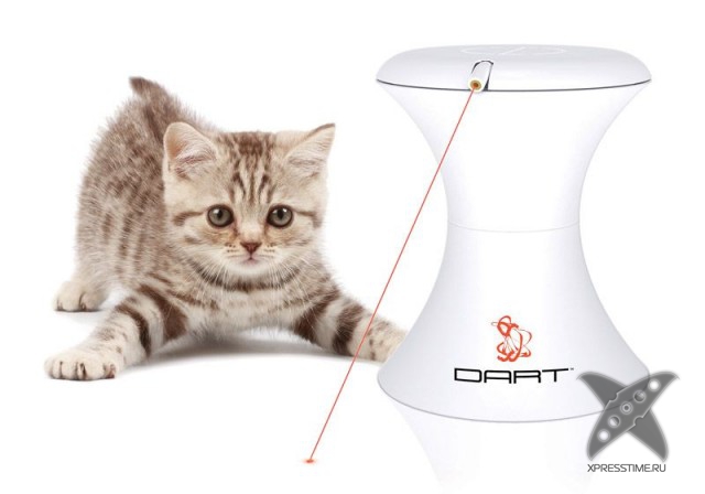 Любители кошек, не проходите мимо!