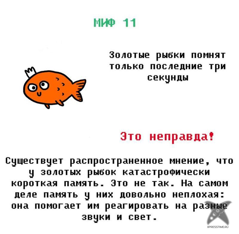 Мифы из нашего детства