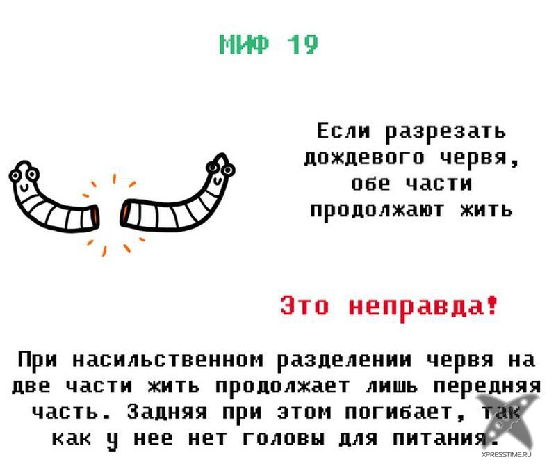 Мифы из нашего детства