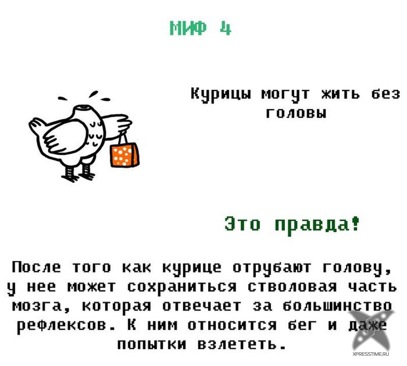 Мифы из нашего детства