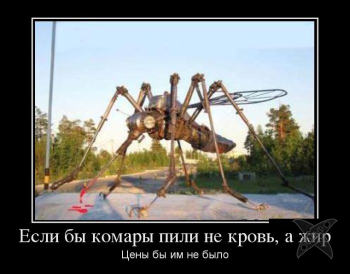 Подборка демотиваторов