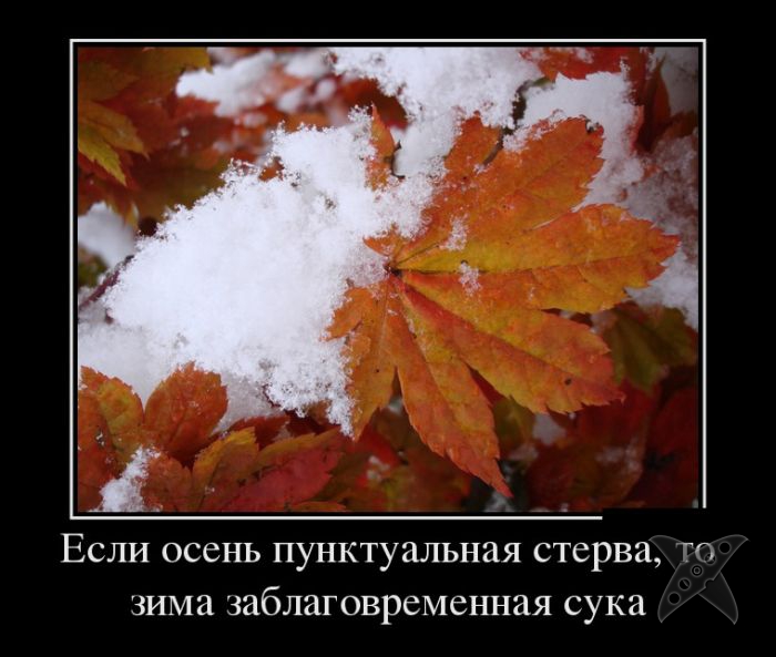 Подборка демотиваторов