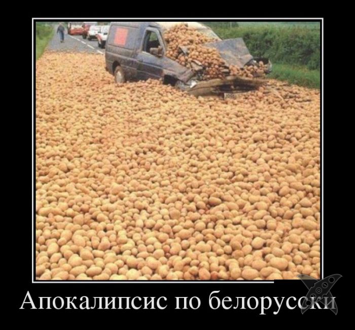 Подборка демотиваторов