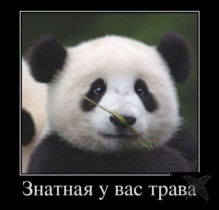 Подборка демотиваторов