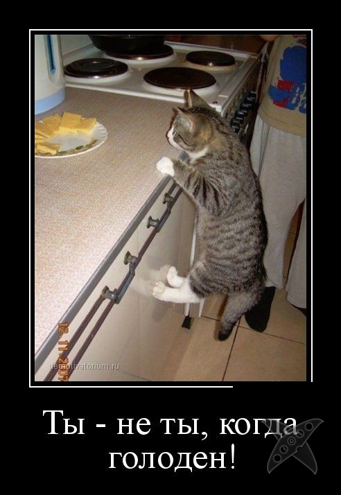 Подборка демотиваторов