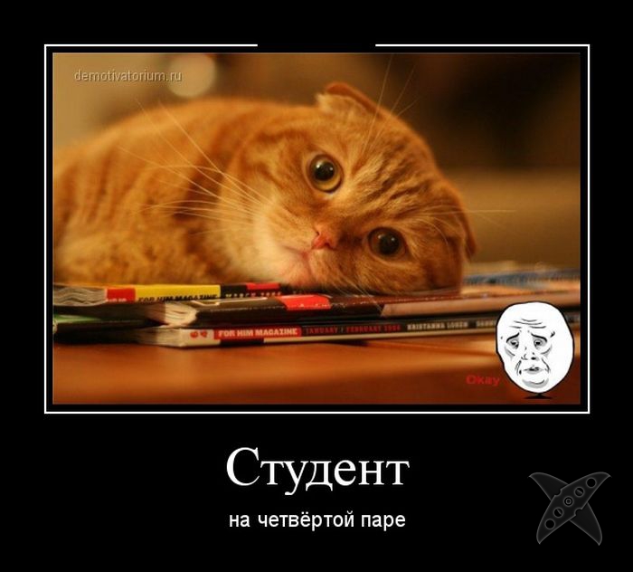 Подборка демотиваторов