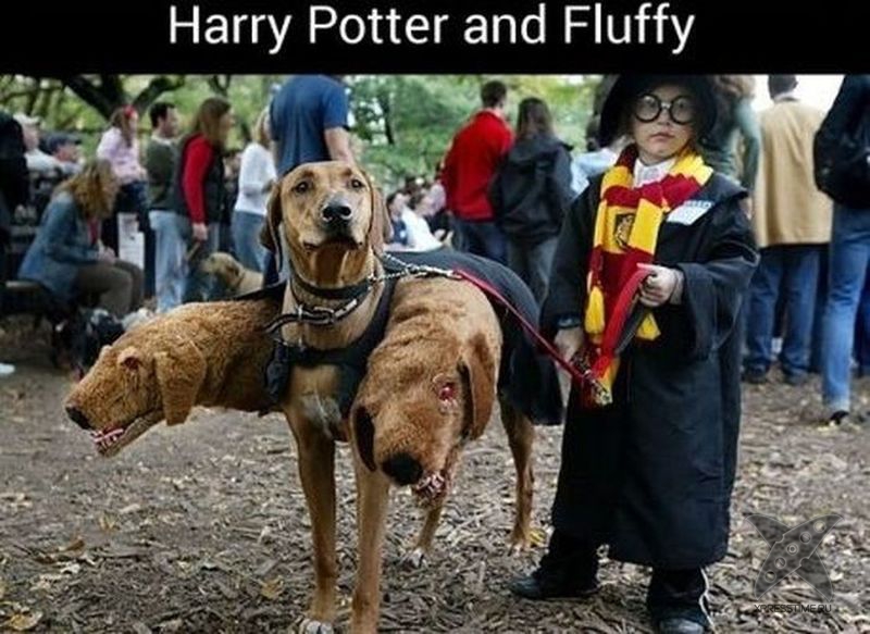 Детские костюмы на Хэллоуин