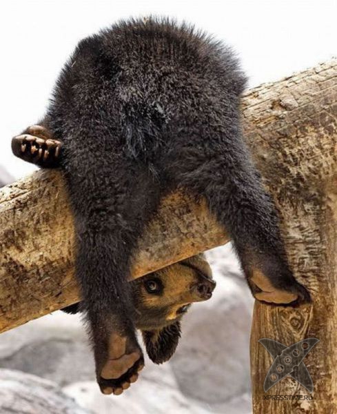 Фотоприколы 2