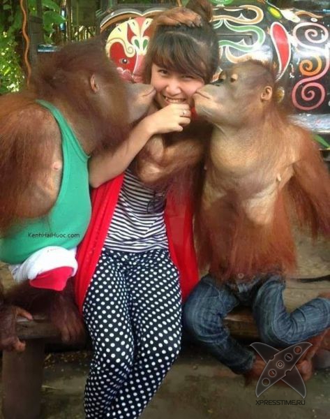 Фотоприколы 2