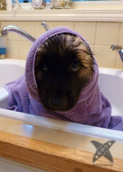 Фотоприколы 2