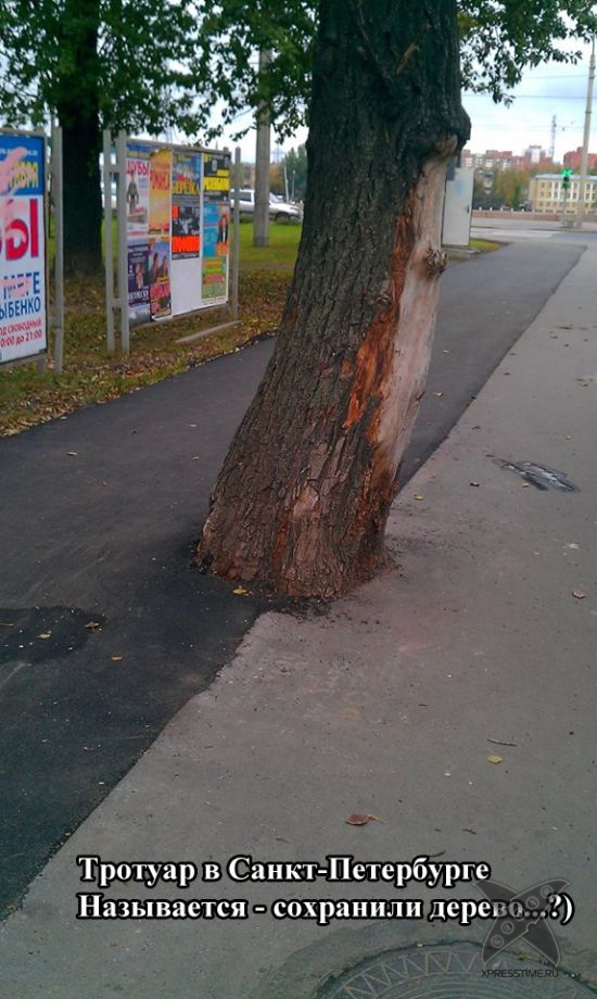 Фотоприколы 2