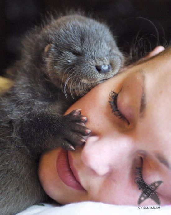 Фотоприколы 2