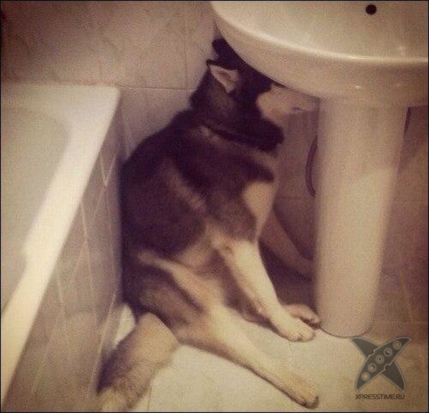 Фотоприколы 2