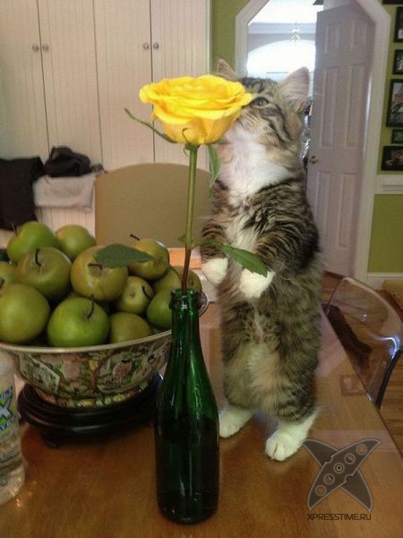 Фотоприколы 2