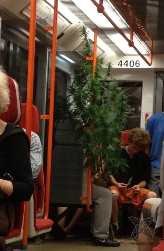 Фотоприколы 2