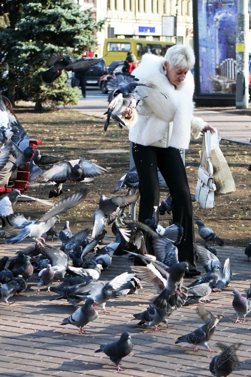 Фотоприколы 2