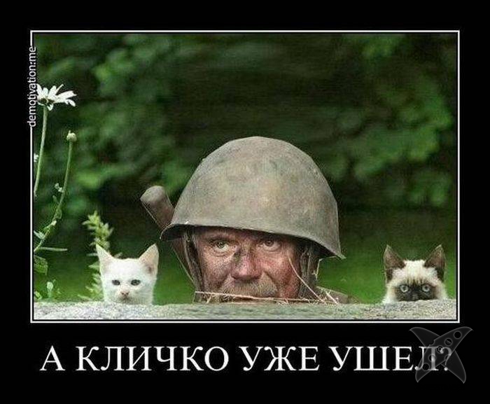 Фотоприколы на тему боя Кличко и Поветкина